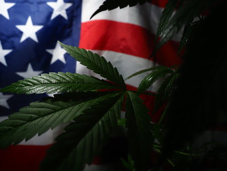 Cannabis leaf on the background of the flag of the United States of America.の写真素材