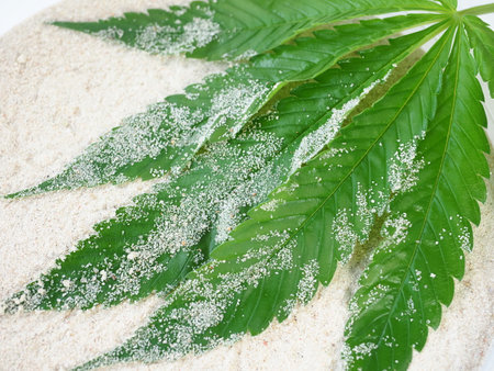 Cannabis leaf with powder on white background, close-upの写真素材