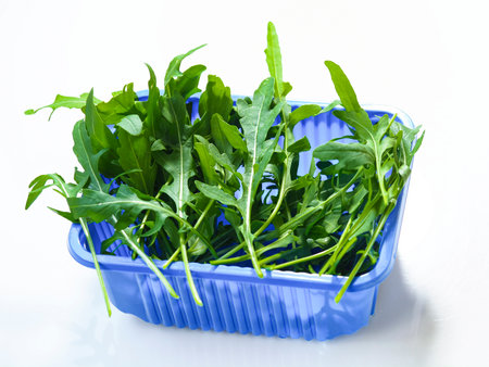 fresh green leaves arugula rocket salad in blue containerの写真素材