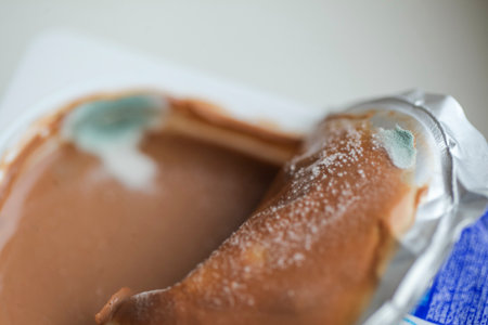 A piece of chocolate cake on a white plate. Selective focus.の写真素材