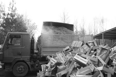 Truck unloading wood from a dump truck, black and white