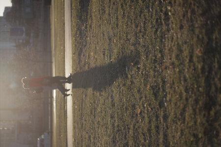 dry yellow reeds on a background of waterの写真素材
