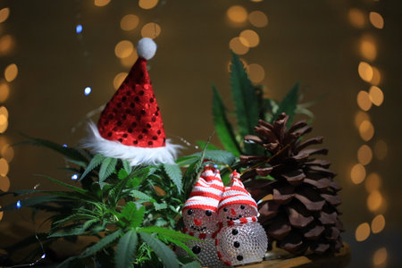 santa cannabis christmas new year marijuana.の写真素材