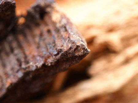 rusty, sharp-edged fragment of an old mine shellの写真素材