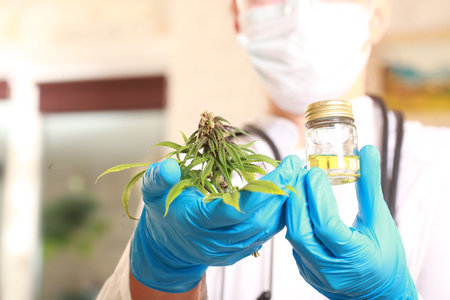 study medical cannabis laboratory science close upの写真素材