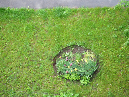 Green lawn town grass field top viewの写真素材