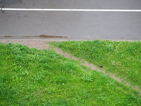 Green lawn town grass field top viewの写真素材