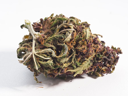 Close up of dry cannabis buds on white background. Medical marijuana concept.の写真素材