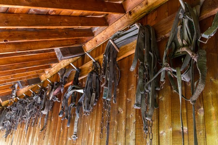 Old and antique horse accessoryes in nineteen century villageの写真素材