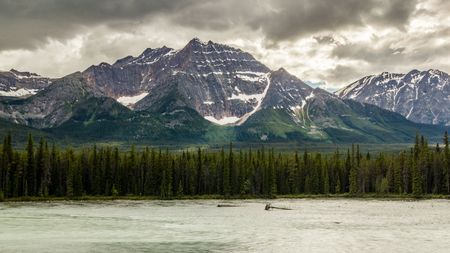Jasper National Park Athabaska river in Alberta Canadaの写真素材