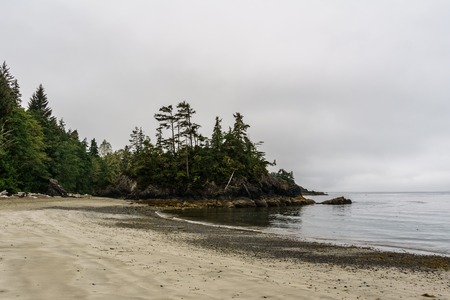 Beach on Pacific Ocean Coast morning and fog Vancouver Island Canadaの写真素材