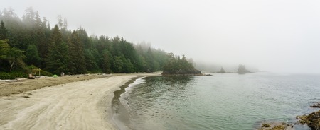 Beach on Pacific Ocean Coast morning and fog Vancouver Island Canada