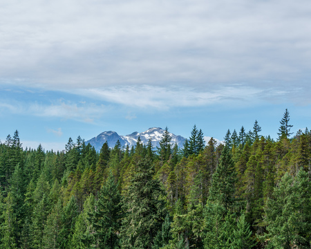 Mountain far away through the forest with blue sky and white clouds summer landscapeの写真素材