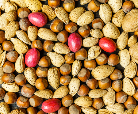 food background with variety of nuts close upの写真素材