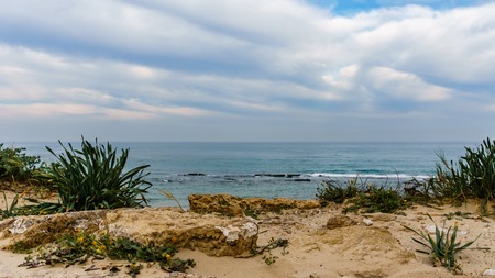 Sandy beach at mediterranean sea in Israelの写真素材