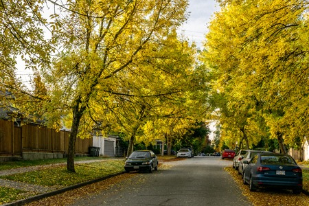 VANCOUVER, CANADA - September 25, 2018: street in a residential neighborhood on a autumn morningのeditorial素材