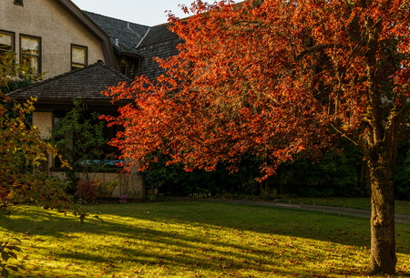 VANCOUVER, CANADA - September 25, 2018: street in a residential neighborhood on a autumn dayのeditorial素材