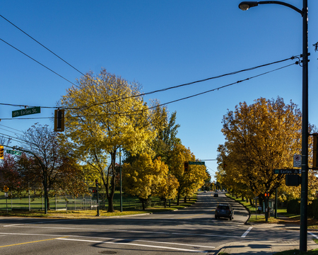 VANCOUVER, CANADA - October 13, 2018: yellow trees on the street on a autumn day.のeditorial素材