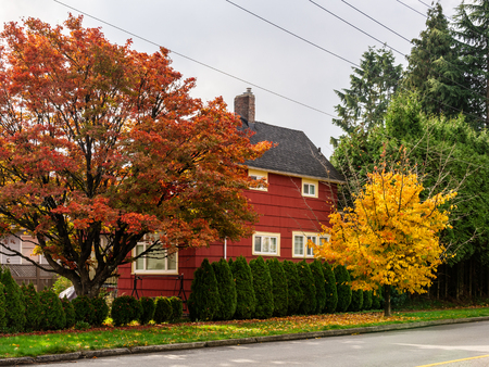 BURNABY, CANADA - October 24, 2018: House in residential area with yellow and red trees in autumnのeditorial素材