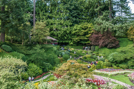 Brentwood Bay, CANADA - September 01, 2018: Green decorative garden Neutral landscape with green fieldのeditorial素材