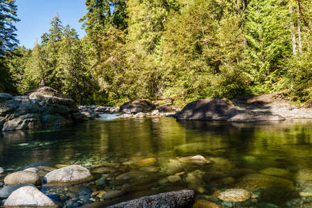 Beautiful river in forest nature Peaceful canadian backgroundの写真素材