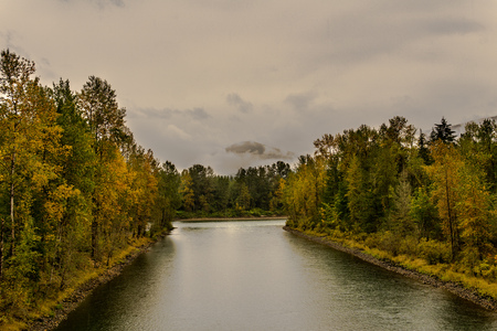 baker river in a forest at autumn rainy day cloudy sky near Concrete Washington USAの写真素材
