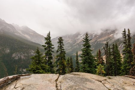 Green rain forest in the mountains mist over the trees and over the mountainsの写真素材