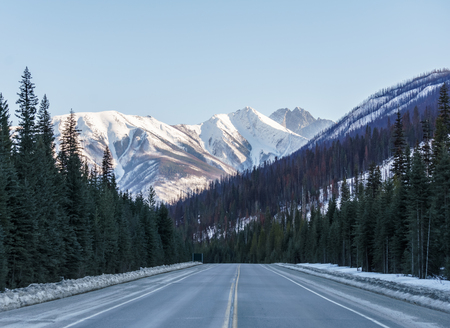 Straight road to the snow mountains in Alberta Canadaの写真素材