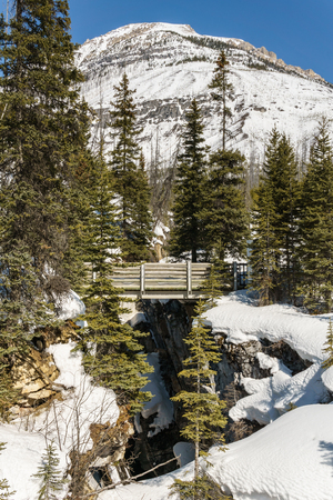 gorgeous wintry scene early spring in Marble Canyon provincial park british columbia canadaの写真素材
