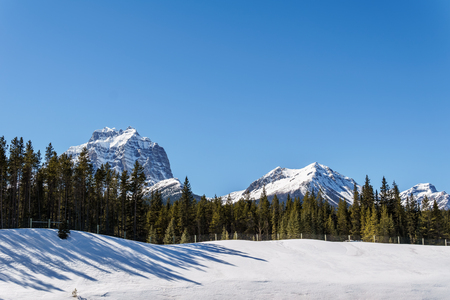 snow mountains peaks and forest landscape under sunlight early spring as backgroundの写真素材