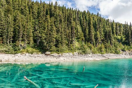 view at Garibaldi lake beautiful sunny morning with forest on mountainの写真素材
