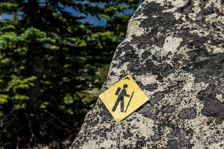 hiking on top of the Whistler mountain in the morningの写真素材