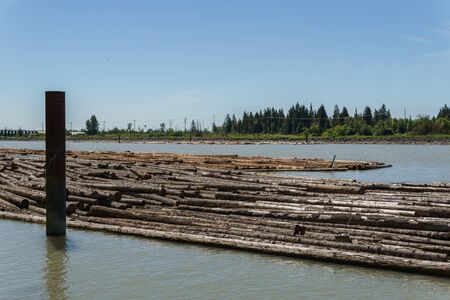 Burnaby Fraser Foreshore Park area in summer