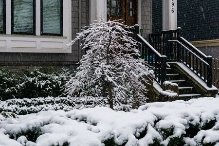 VANCOUVER, CANADA - FEBRUARY 4, 2020: residential area during snowfall winter time.のeditorial素材