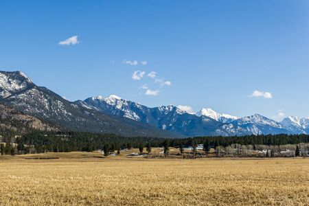 rocky mountain peaks view and yellow country field in spring landscape East Kootenay british columbia canada.の写真素材