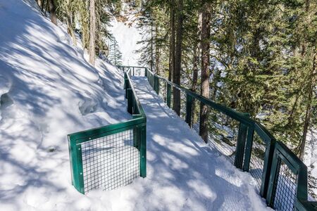 path in the forest winter landscape hiking trailの写真素材