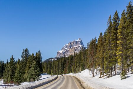 Highway passing below the Canadian Rockies park alberta green forestの写真素材