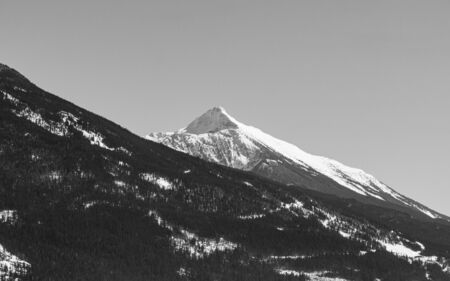close-up view of the mountain peak with trees and snow on it sunny spring dayの写真素材