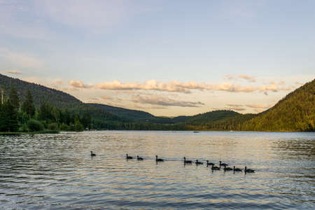 Paul Lake Summer time with green mountains and white clouds british columbia canadaの写真素材