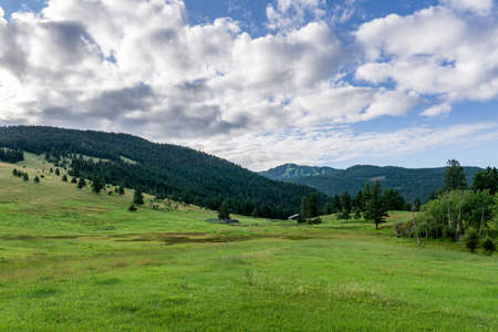overcast summer day green forest and mountains in British Columbia Canadaの写真素材