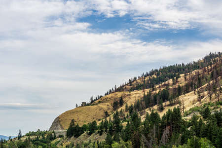 overcast summer day green forest and mountains in okanagan valley British Columbia Canada.の写真素材