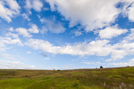 a hill covered with lush green grass under a blue sky with clouds in British Columbia Canadaの写真素材