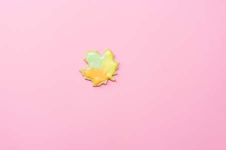 Sweet homemade leaf cookie with icing isolated on pink background minimal flat lay composition.