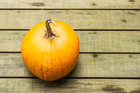 large round pumpkin on wooden rustic background top view.