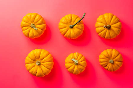 group of orange pumpkins isolated over the red background top view.