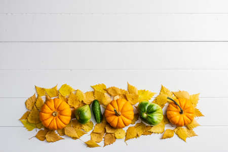 group of pumpkins tomatoes and cucumber on a white wooden background and on yellow autumn leaves.の写真素材