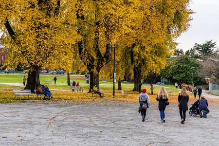 VANCOUVER, CANADA - NOVEMBER 21, 2020: Beautiful trees in the park colorful autumn leavesのeditorial素材