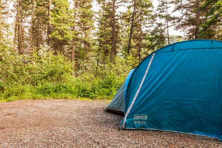 KAMLOOPS, CANADA - JULY 07, 2020: blue Coleman camping tent in forest camp site lifestyle advantureのeditorial素材