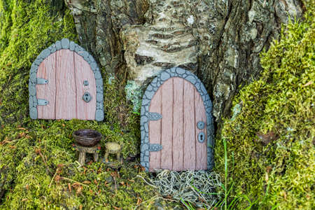 small doors made of polymer clay on a tree like a fairy house close up.の写真素材