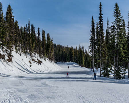 people skiing downhill on newly-fallen snow ski resort.の写真素材